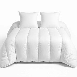 Mortreux Couette Blanche Coton - Ultra Chaude - 240x260 - 16082