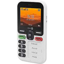Téléphone mobile DORO LEVAX10BLANC pas cher