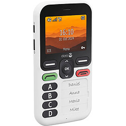 Acheter Téléphone mobile DORO LEVAX10BLANC