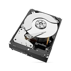Acheter Seagate Technology Disque Dur 3.5" Seagate SkyHawk 10 To 7200RPM SATA III