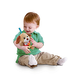 Vtech baby Peluche interactive Chant'toutou - Brun pas cher