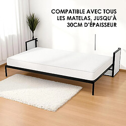 Acheter Wallbedking - Lit Escamotable 2 Personnes - 200cm x 150cm - Horizontal - Studio