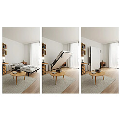 Wallbedking Lit escamotable Morphy Studio – SizeFlex & TypeFlex (120x190 cm, Vertical)