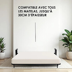 Acheter Wallbedking - Lit Escamotable 2 Personnes - 160x200 cm - Vertical - Classique