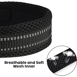 INF Laisse réfléchissante pour chien pour la marche et la course des chiens Green M