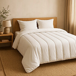Couette & couverture