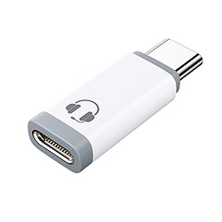 INF Adaptateur FD11 Type-C mâle vers Lightning femelle - Blanc