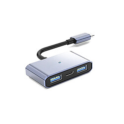 INF Câble adaptateur T-C vers double USB 2.0 + chargement