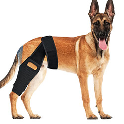 INF Genouillère pour chien pour le soutien du LCA, du LCC et du LMC S