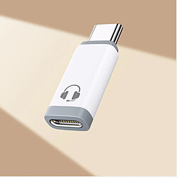INF Adaptateur FD11 Type-C mâle vers Lightning femelle - Blanc