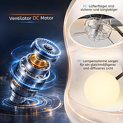 ZMH Ventilateur de plafond 6 vitesses silencieux avec éclairage télécommande (Sans Ampoule) pas cher