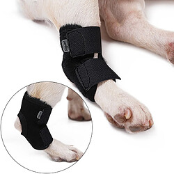 INF Support de jambe pour chien - Attelle courte pour chien M