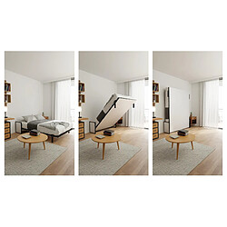 Wallbedking Lit escamotable Morphy Studio – SizeFlex & TypeFlex (160x200 cm, Vertical)