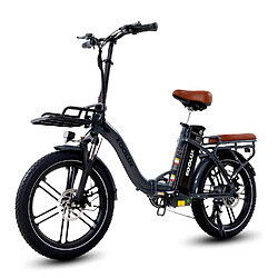 Vélo Électrique Pliable Koolux X16 1000W Moteur Sans Balais 48V 15,6AH Autonomie 120km