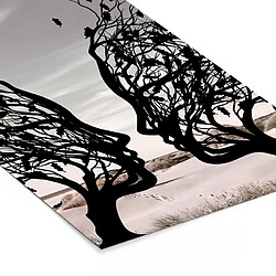 Muchowow 8721373805680 - 20 x 30 cm pas cher