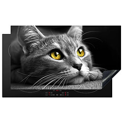 MuchoWow PROTECTION PLAQUE INDUCTION