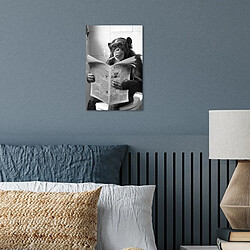 Avis Muchowow Singe - WC - Journal - Noir et blanc - Humour - 20 x 20 cm