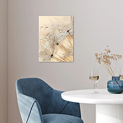 Acheter Muchowow Pissenlit - Abstrait - Nature - Beige - 30x40 cm