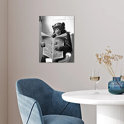 Acheter Muchowow Singe WC Journal - 30x40 cm
