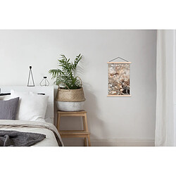 Affiche & poster