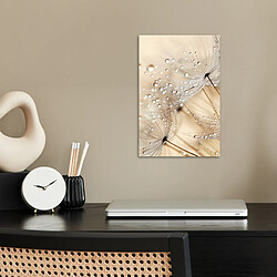 Affiche & poster