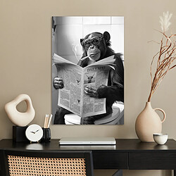Affiche & poster