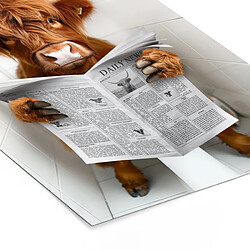 Muchowow 8720977949592 - 60 x 80 cm pas cher
