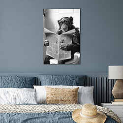 Avis Muchowow Singe WC Journal humour - 40 x 60 cm