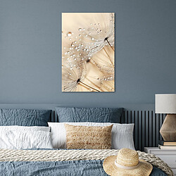 Avis Muchowow Pissenlit Abstrait Nature - 40x60 cm