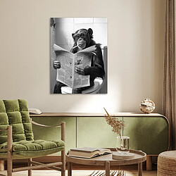 Affiche & poster