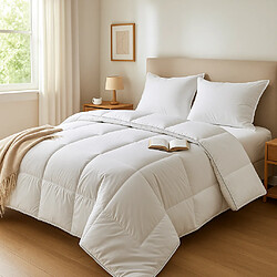 Avis Mortreux Couette Blanche Duvet - Mi-saison - 2 personnes - 240x260 - 13035