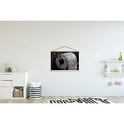 Avis Muchowow WC Papier hygiénique - 90x120 cm