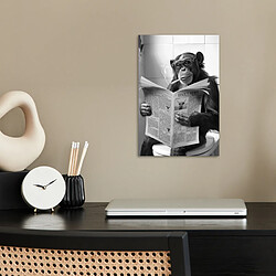 Affiche & poster