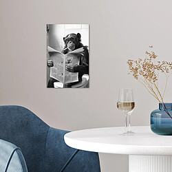 Acheter Muchowow Singe - WC - Journal - Noir et blanc - Humour - 20 x 20 cm