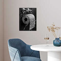 Acheter Muchowow WC papier hygiénique - 30x40 cm