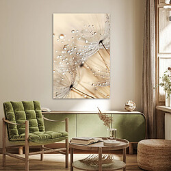 Affiche & poster
