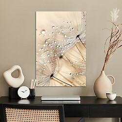 Affiche & poster