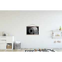 Avis Muchowow WC Papier hygiénique noir et blanc - 60 x 60 cm