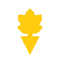 INF Lot de 100 pièges collants épais jaunes en forme de lotus pour la protection des plantes