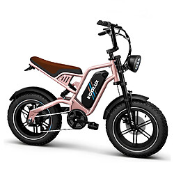 Vélo Électrique KOOLUX X9 45km/h - Moteur Pic 750W Batterie 48V13Ah - Autonomie 80km