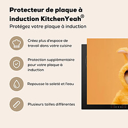 Acheter MuchoWow PROTECTION PLAQUE INDUCTION