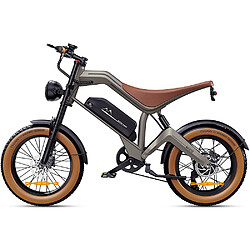 Vélo électrique YATDI M20 1000W batterie amovible 48V18.2AH vitesse 55km/h autonomie 60km