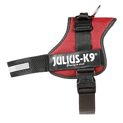 Julius K9 Harnais Power Julius-K9 - 3 - XL : 82-118 cm-50 mm - Bordeaux - Pour chien