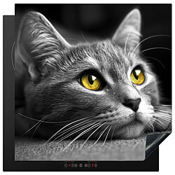 MuchoWow PROTECTION PLAQUE INDUCTION