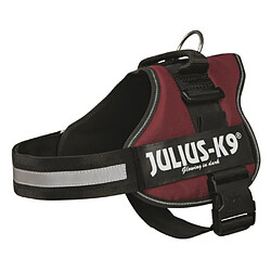 Julius K9 Harnais Power Julius-K9 - 3 - XL : 82-118 cm-50 mm - Bordeaux - Pour chien