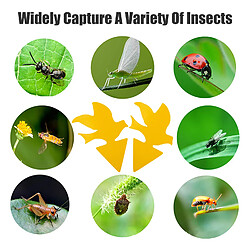 Acheter INF Piège collant pour parasites sur plantes en pot, paquet de 100 Yellow