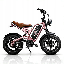 Vélo Électrique KOOLUX X9 45km/h - Moteur Pic 750W Batterie 48V13Ah - Autonomie 80km