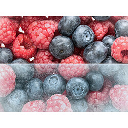 Schneider SCCB174LFES - Réfrigérateur combiné 174L Inox pas cher