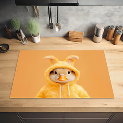 Accessoires four & table de cuisson