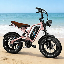 Vélo Électrique KOOLUX X9 45km/h - Moteur Pic 750W Batterie 48V13Ah - Autonomie 80km pas cher